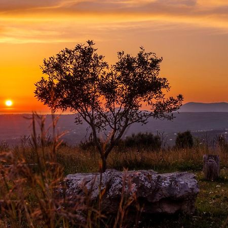 Chamaloni Cottages Финикунда Екстериор снимка